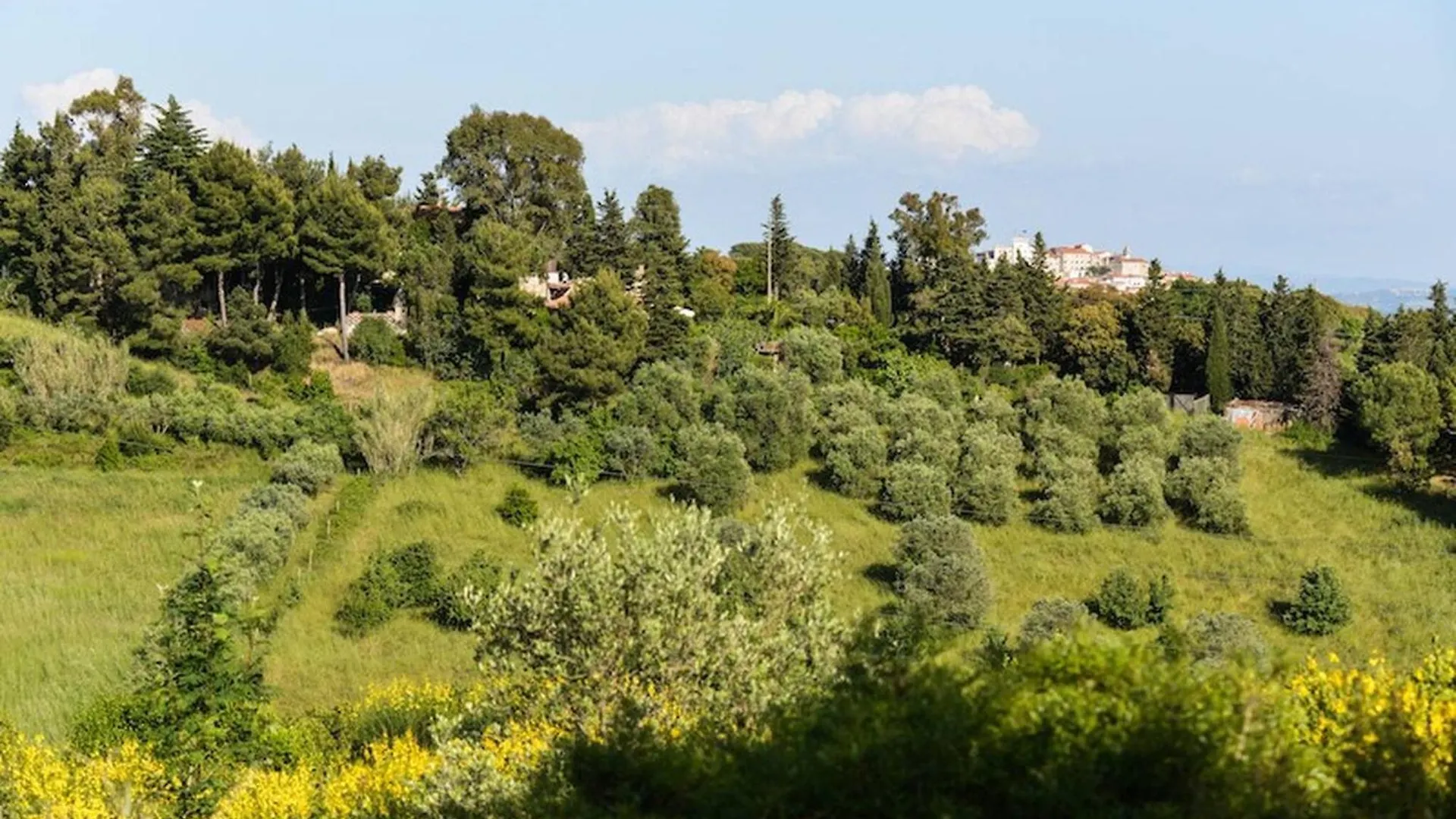 Holiday home La Capannina, Sulla Collina Con Vista Mare Villa Rosignano Marittimo