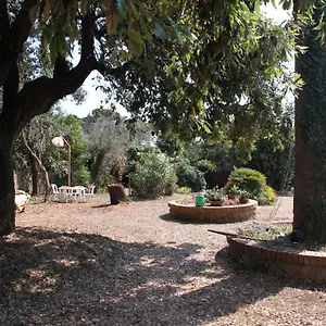 Casa vacanze Casale Con Accesso Mare, Grande Giardino E Basket, Rosignano Marittimo